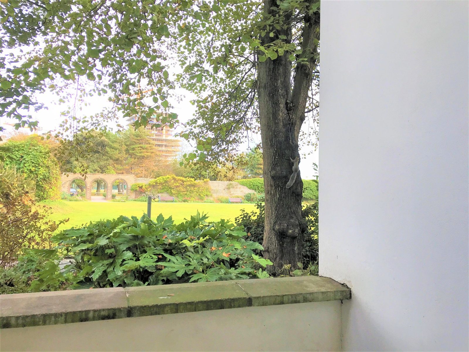The Old Dairy Cottage photo