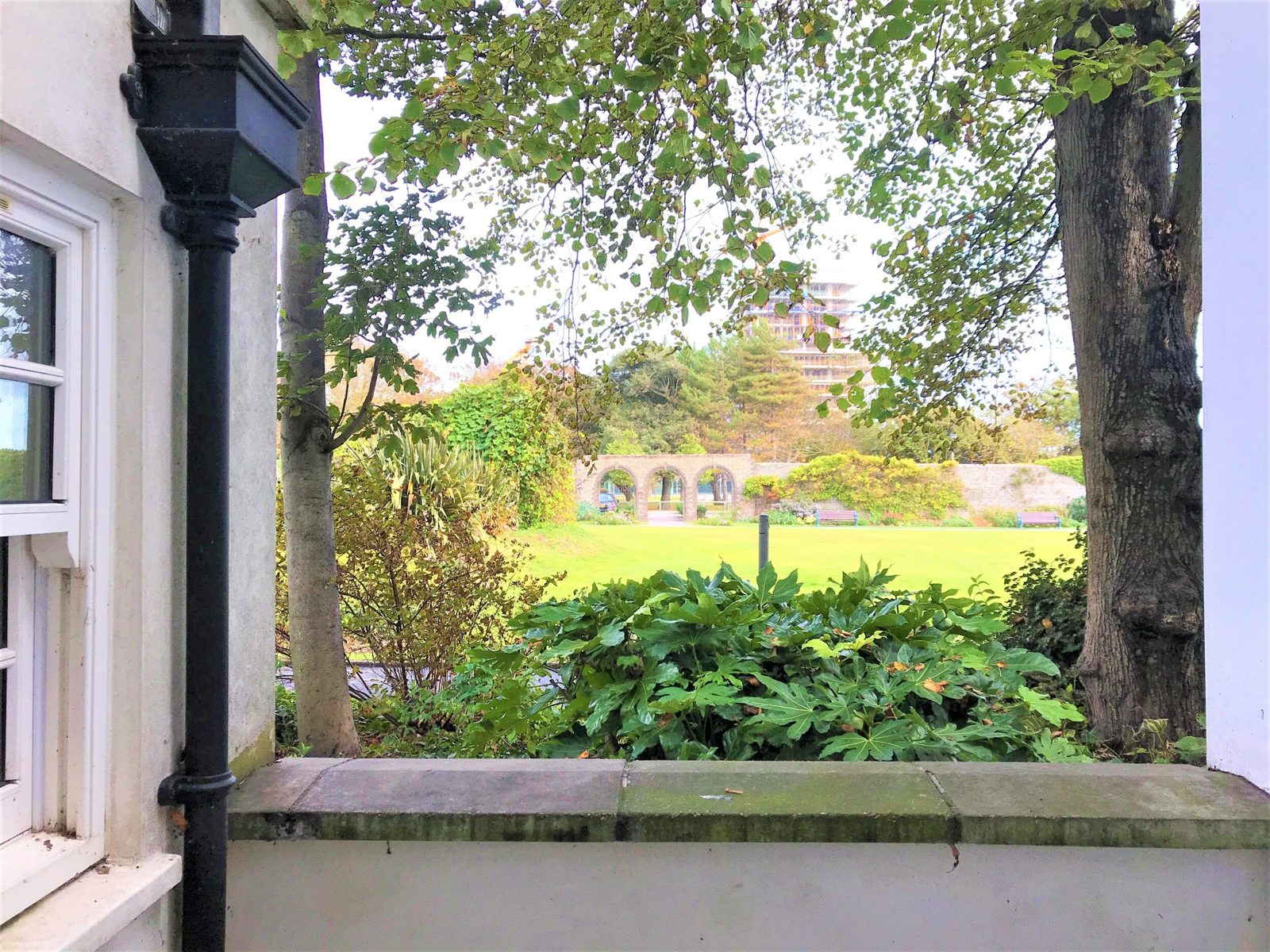 The Old Dairy Cottage photo
